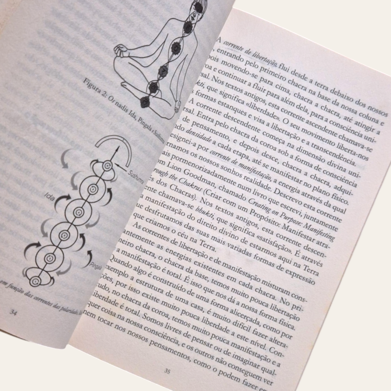 Guia Completo dos Chacras