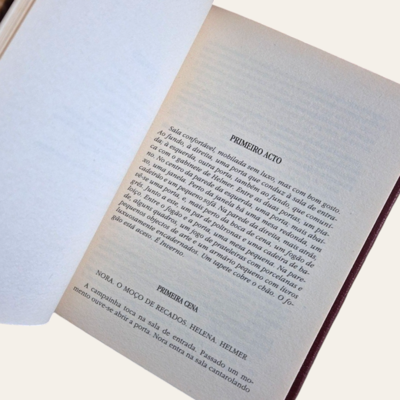 Uma Casa de Boneca | O Pato Selvagem