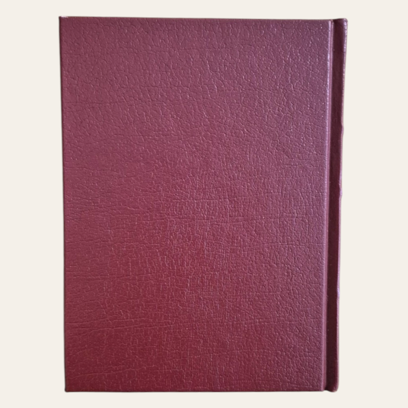 Uma Casa de Boneca | O Pato Selvagem