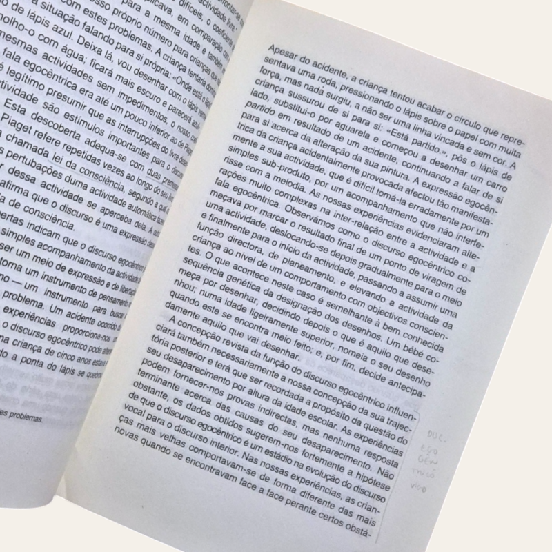 Pensamento e Linguagem