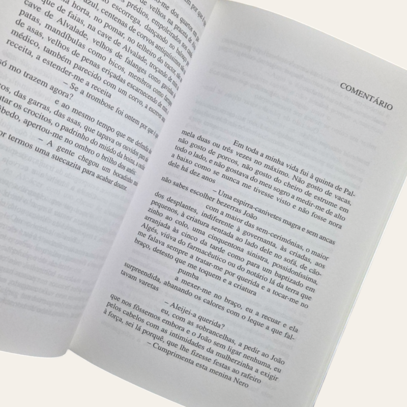 O Manual dos Inquisidores