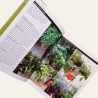 Legumes Para Pequenas Hortas