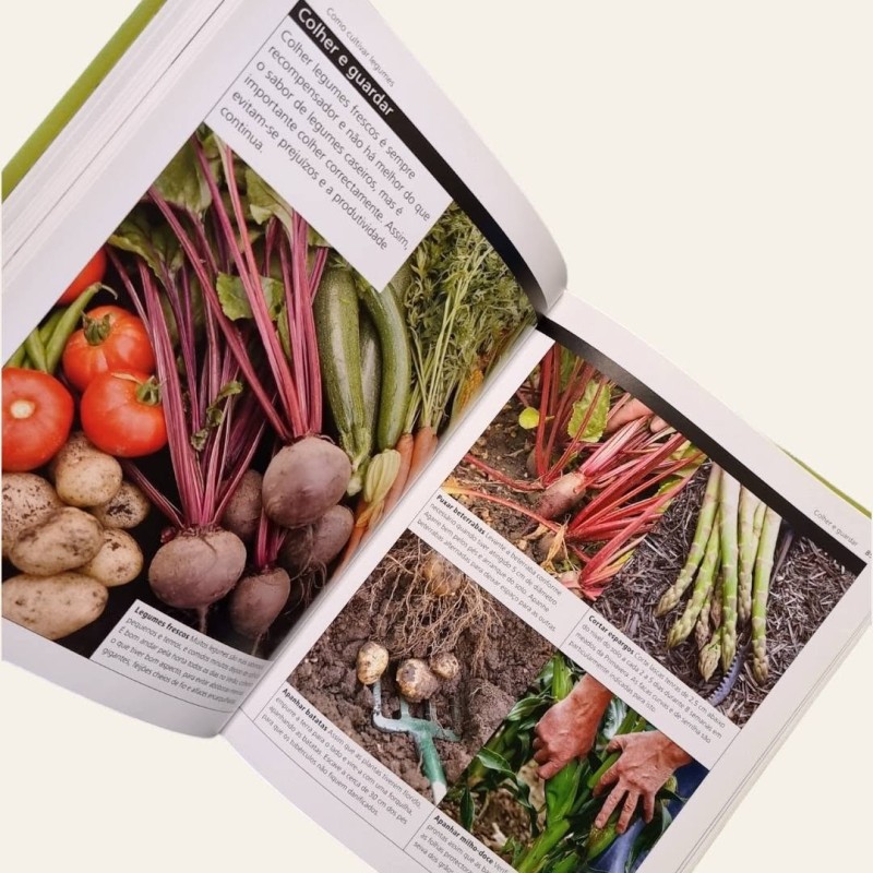 Legumes Para Pequenas Hortas