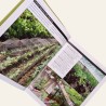 Legumes Para Pequenas Hortas