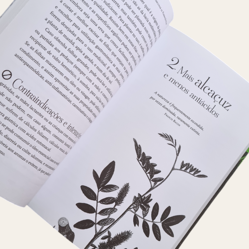 15 Plantas Medicinais