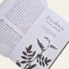 15 Plantas Medicinais