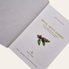 Ervas, Usos e Saberes - Plantas Medicinais no Alentejo e outros Produtos Naturais