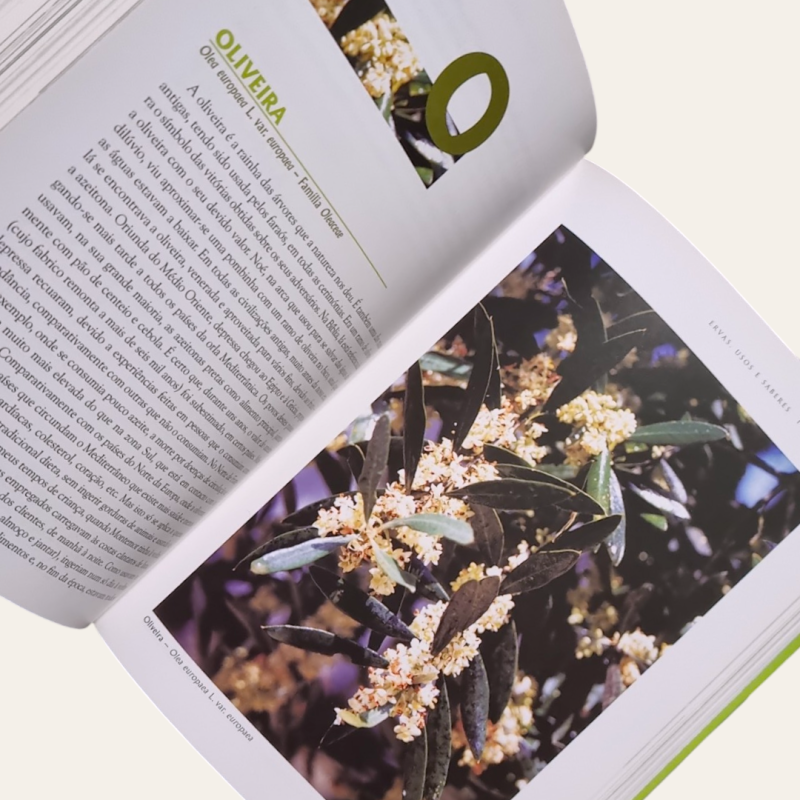 Ervas, Usos e Saberes - Plantas Medicinais no Alentejo e outros Produtos Naturais