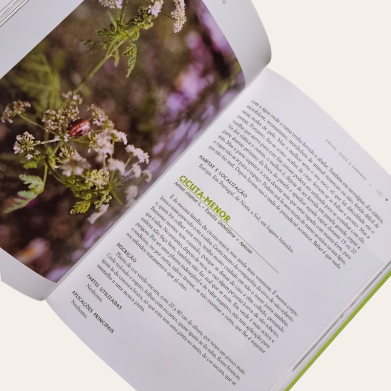 Ervas, Usos e Saberes - Plantas Medicinais no Alentejo e outros Produtos Naturais