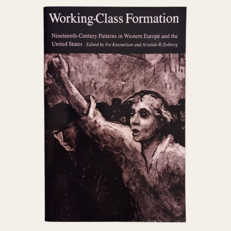Working - Class Formation - Nineteenth-Century Patterns in Western Europe and the United States