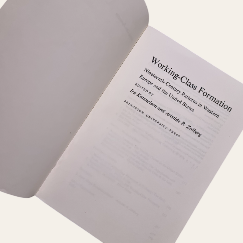 Working - Class Formation - Nineteenth-Century Patterns in Western Europe and the United States