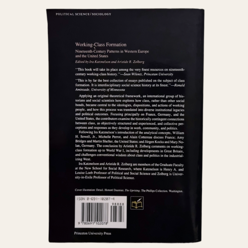 Working - Class Formation - Nineteenth-Century Patterns in Western Europe and the United States