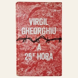 A 25ª Hora (Capa Dura)