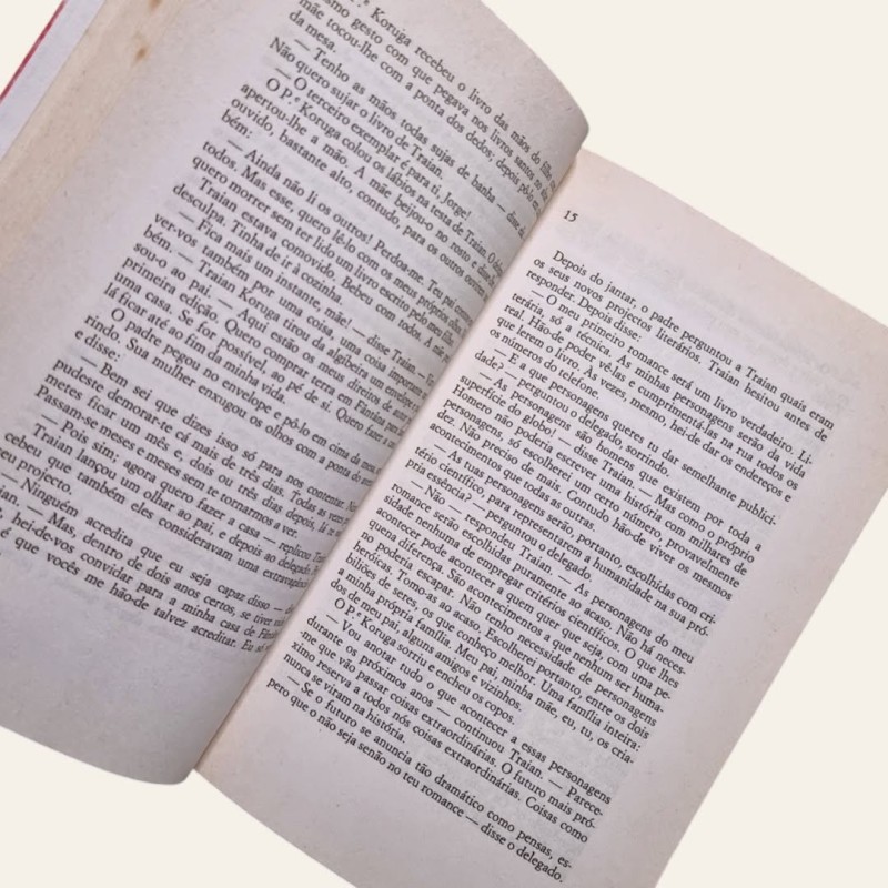 A 25ª Hora (Capa Dura)