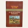 A Montanha Mágica