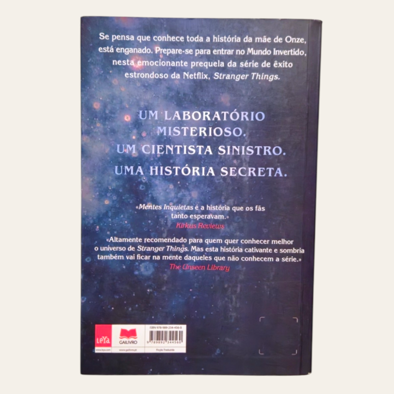 Stranger Things - Mentes Inquietas