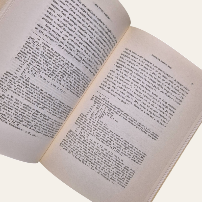 Conhecer Simone Weil
