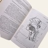 Nova Gramática do Português Contemporâneo