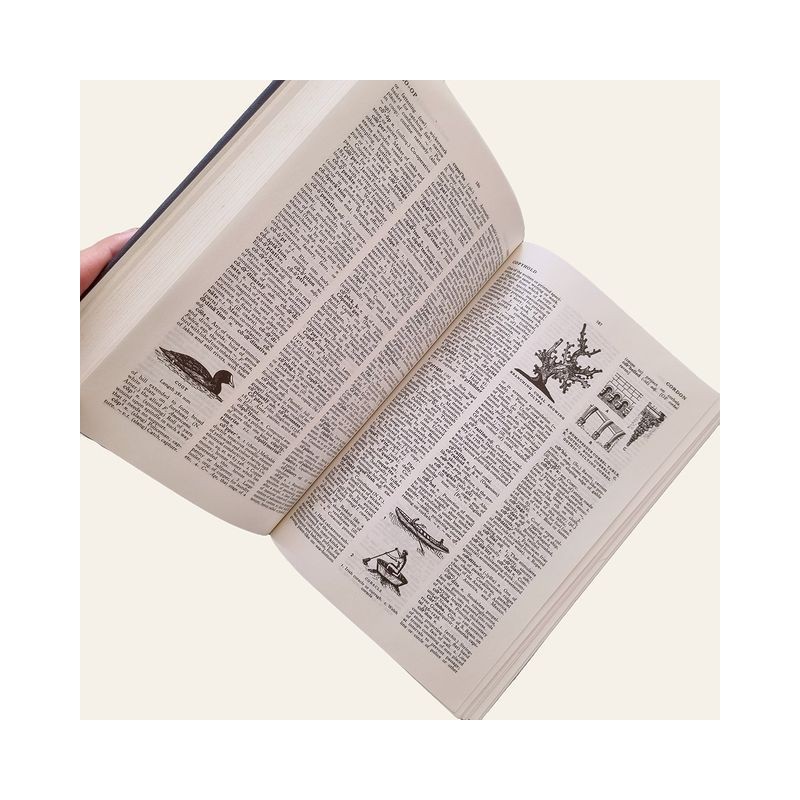 The English Illustrated Dictionary