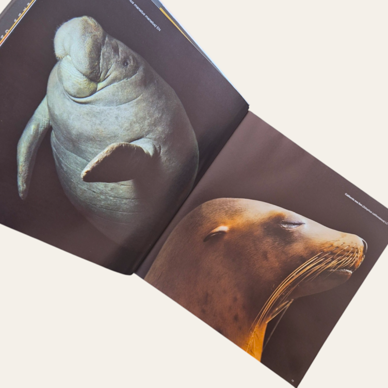 National Geographic The Photo Ark