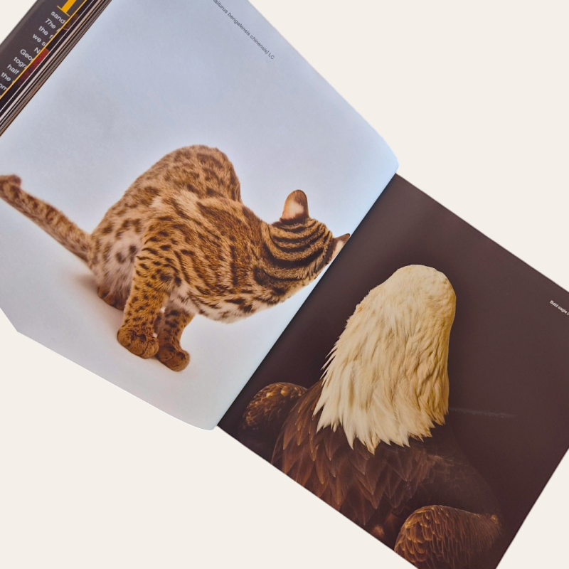 National Geographic The Photo Ark