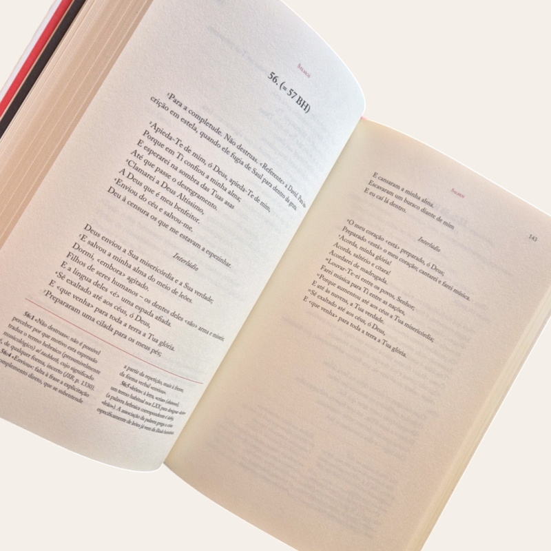 Bíblia (3 vols.)