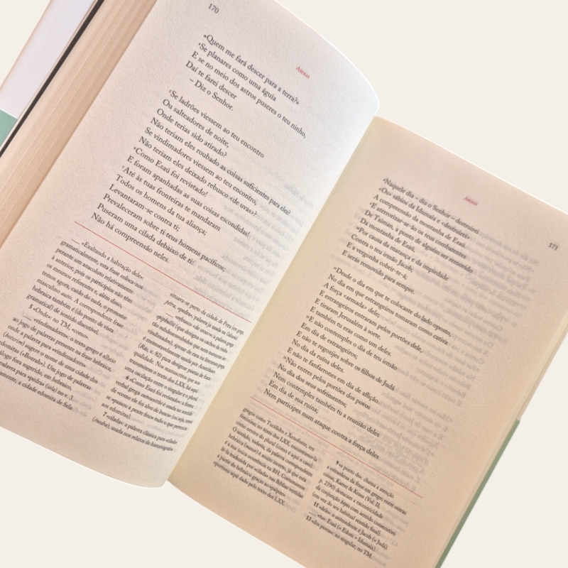 Bíblia (3 vols.)