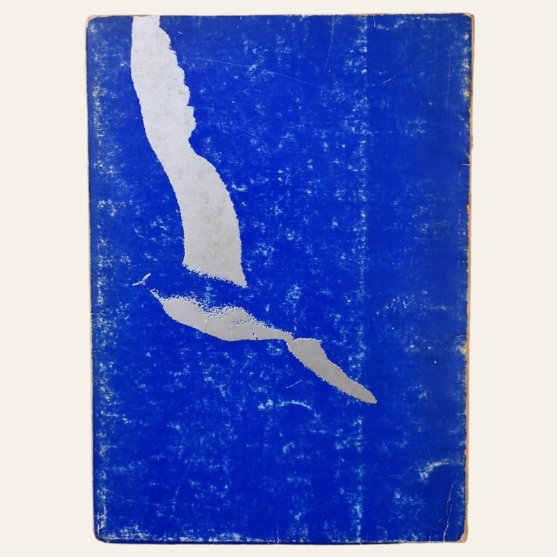 A História de Fernão Capelo Gaivota