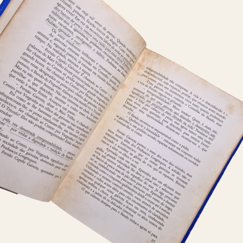 A História de Fernão Capelo Gaivota