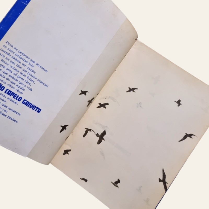 A História de Fernão Capelo Gaivota