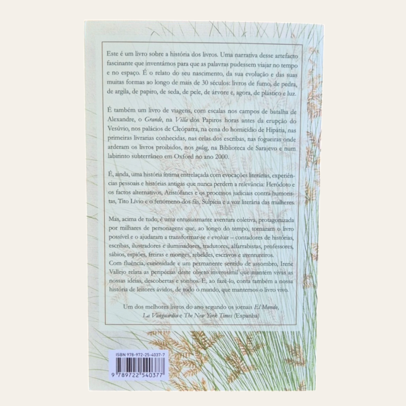 O Infinito num Junco