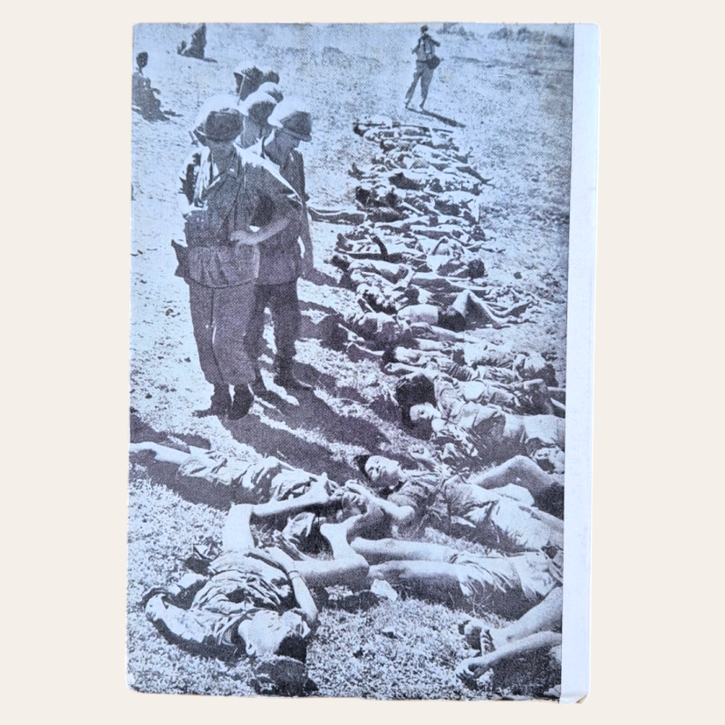 Crimes de Guerra no Vietname