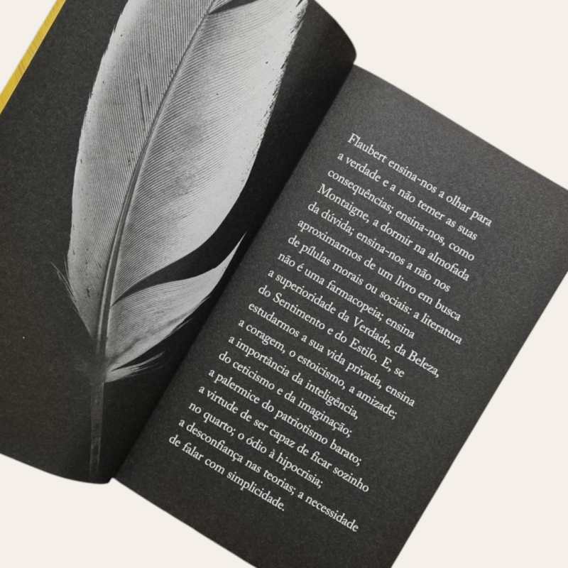 O Papagaio de Flaubert