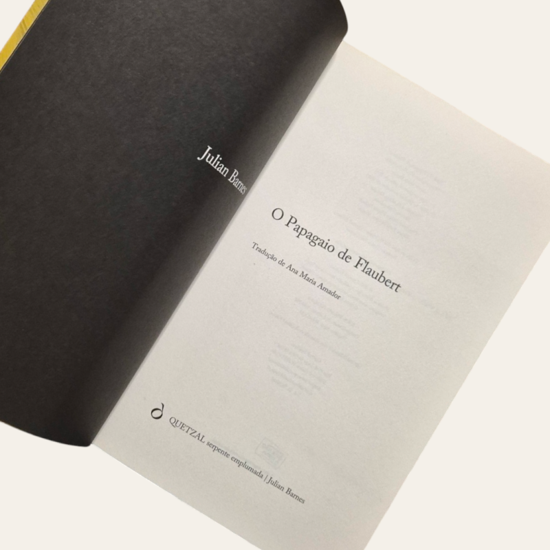 O Papagaio de Flaubert