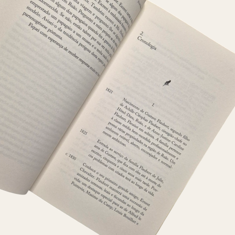 O Papagaio de Flaubert