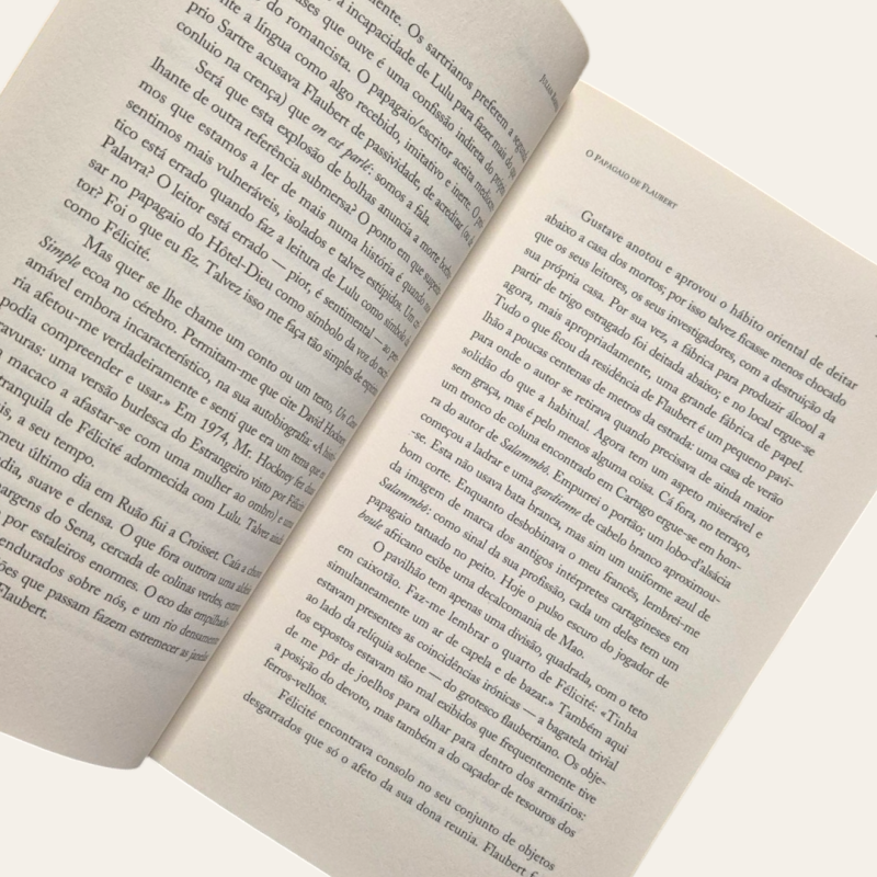 O Papagaio de Flaubert