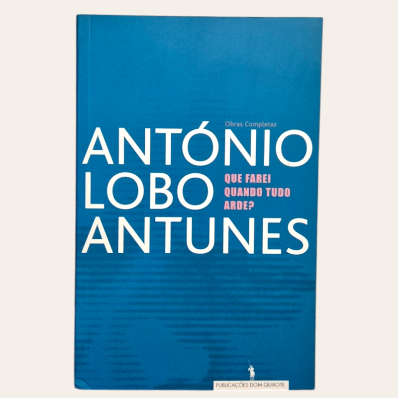 O que farei quando tudo arde?