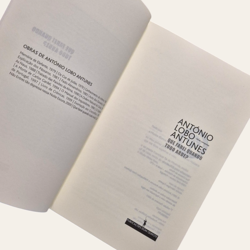 O que farei quando tudo arde?