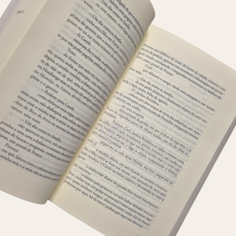 O que farei quando tudo arde?