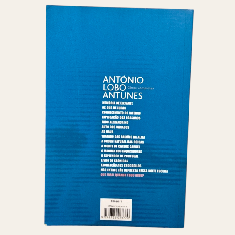 O que farei quando tudo arde?