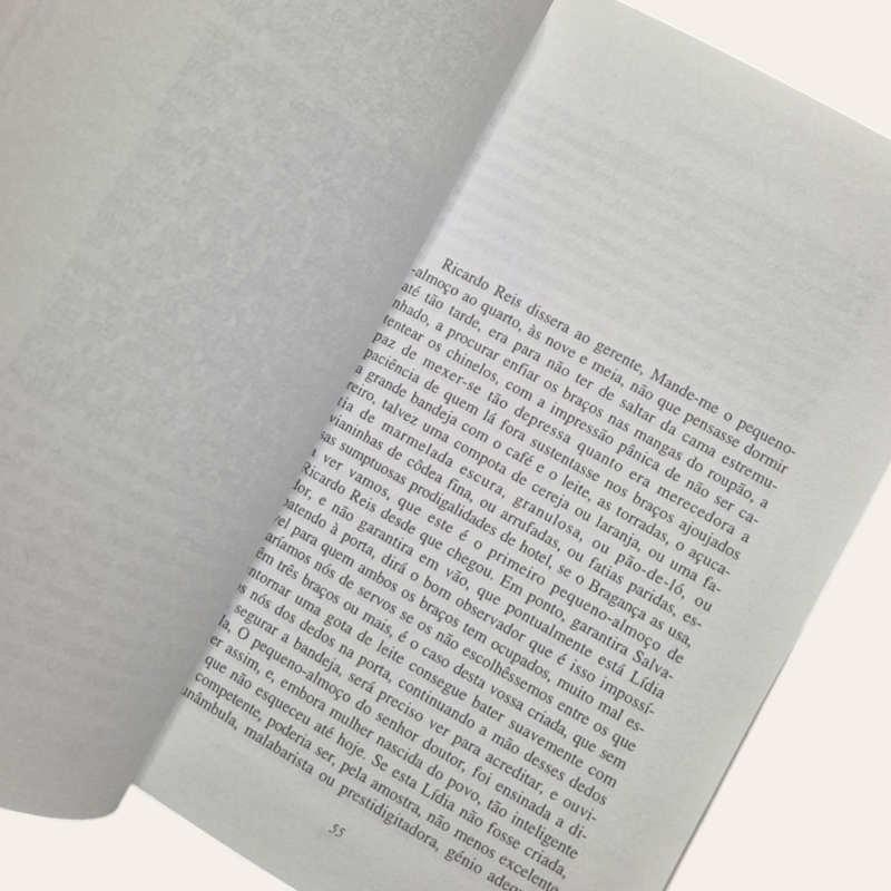 O Ano da Morte de Ricardo Reis