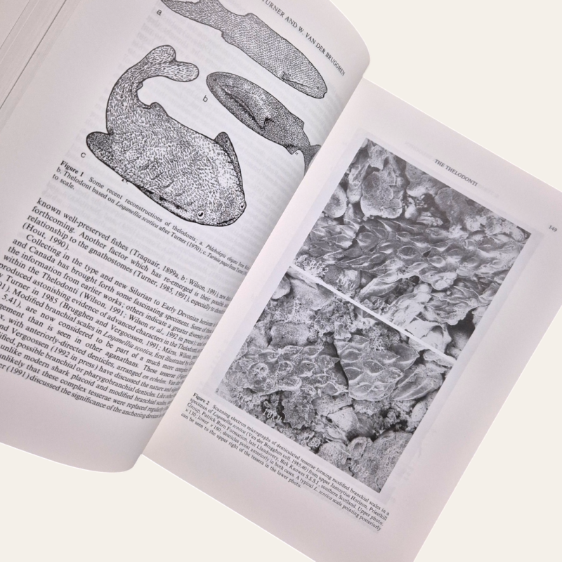 Vertebrate Fossils and the Evolution of Scientific Concepts
