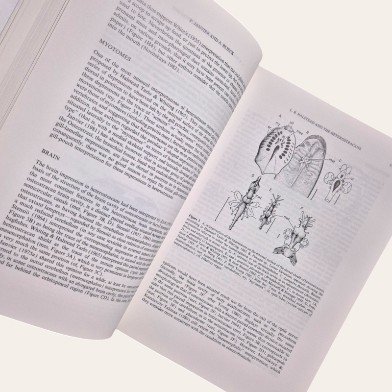 Vertebrate Fossils and the Evolution of Scientific Concepts