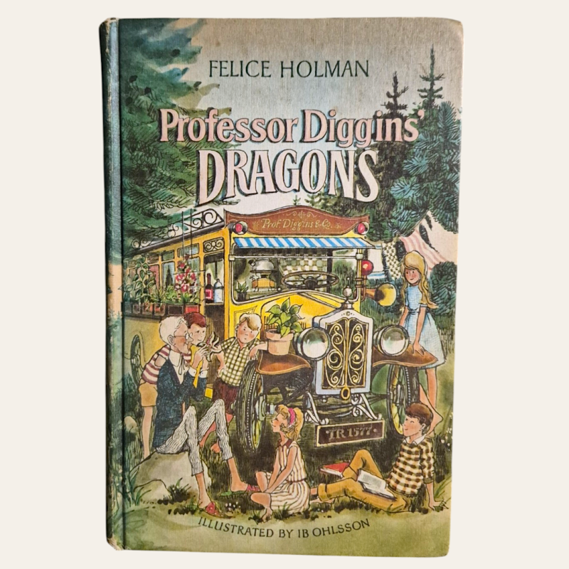 Professor Diggins Dragons