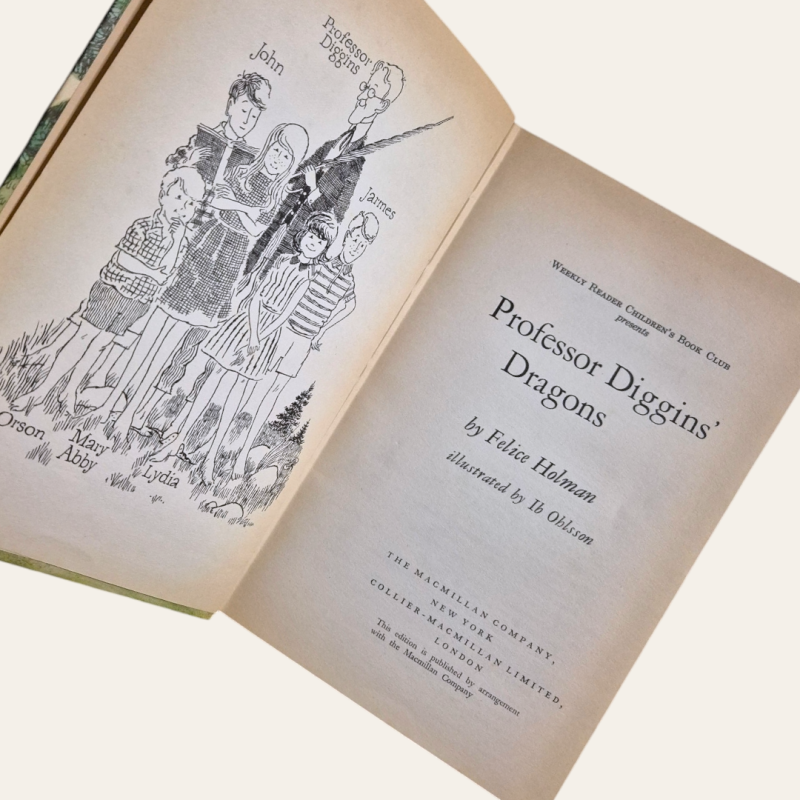 Professor Diggins Dragons