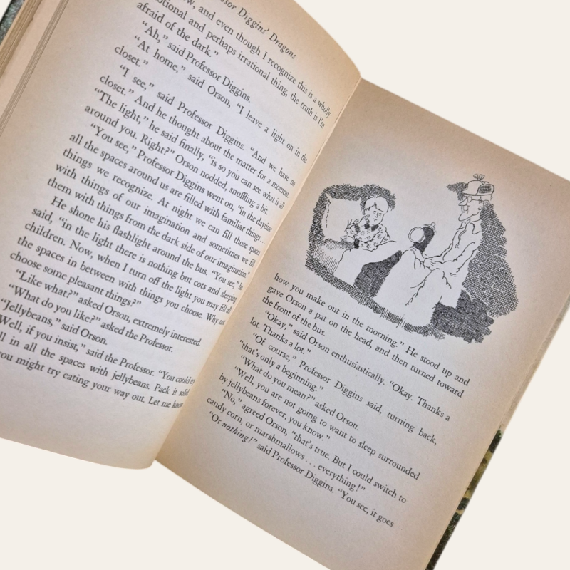 Professor Diggins Dragons