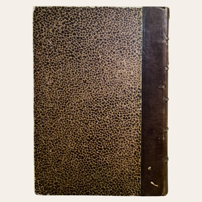 Camões Poeta da Fé