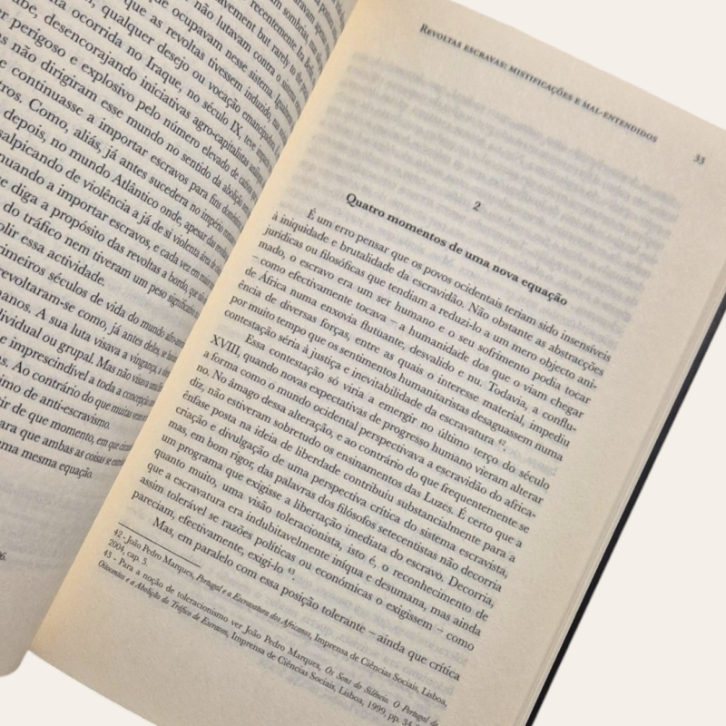 Revoltas Escravas - Mistificações e mal-entendidos