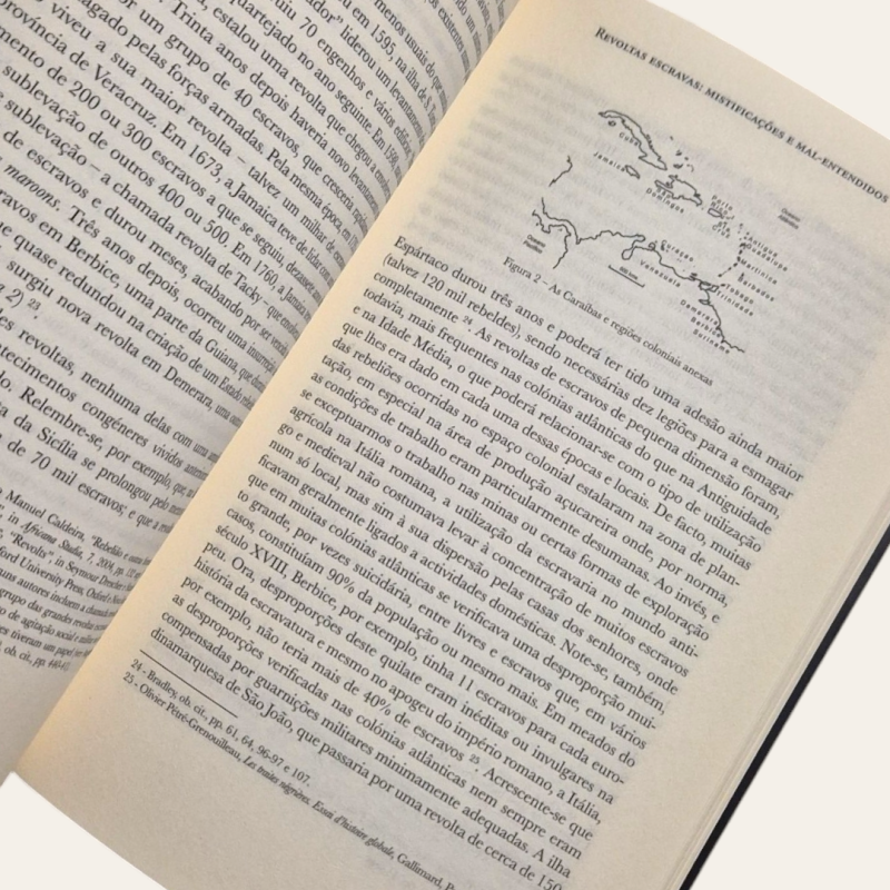 Revoltas Escravas - Mistificações e mal-entendidos