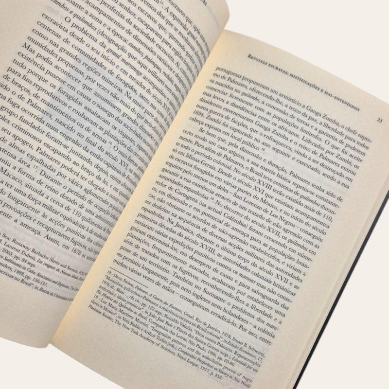 Revoltas Escravas - Mistificações e mal-entendidos